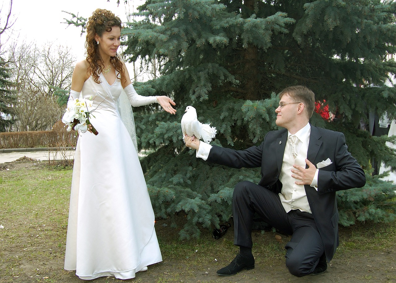 Image - wedding stroll just married nature