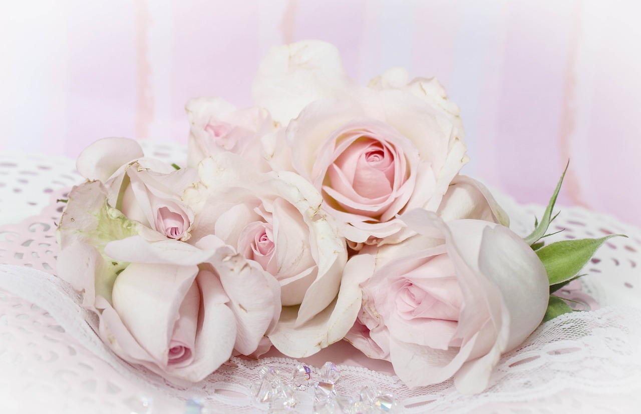 Image - roses romantic background pink