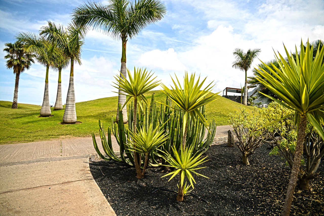 Image - tenerife canary islands landscapes