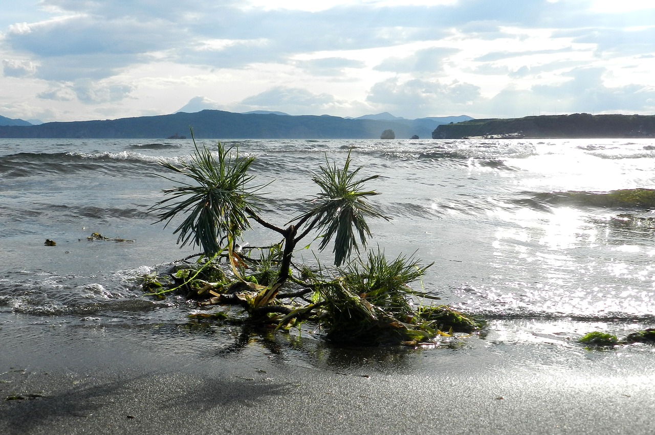 Image - kamchatka avacha bay bay beach sea