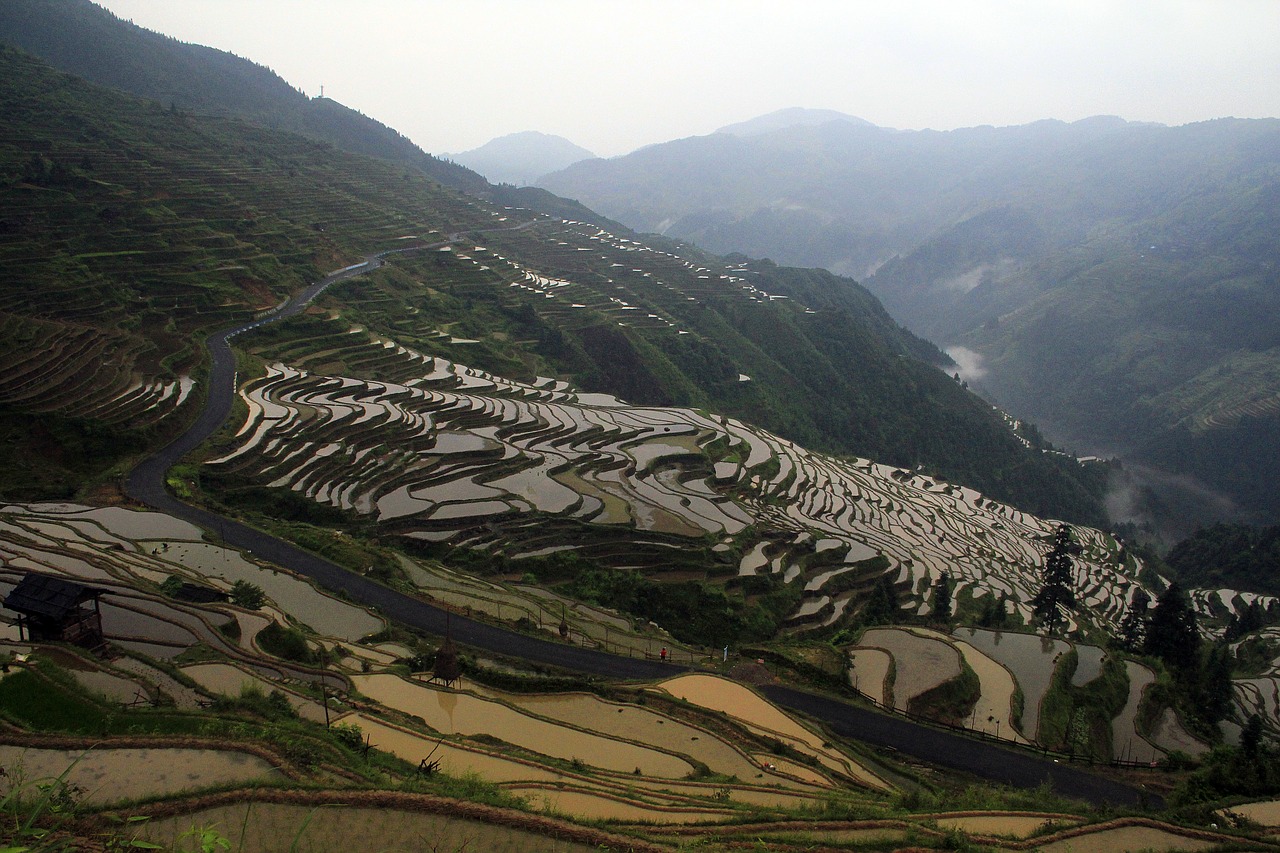 Image - the scenery terrace nature farm