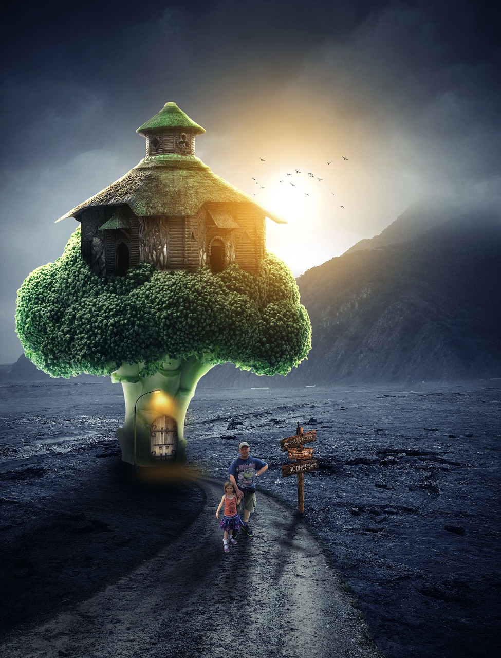 Image - broccoli house vegetable food