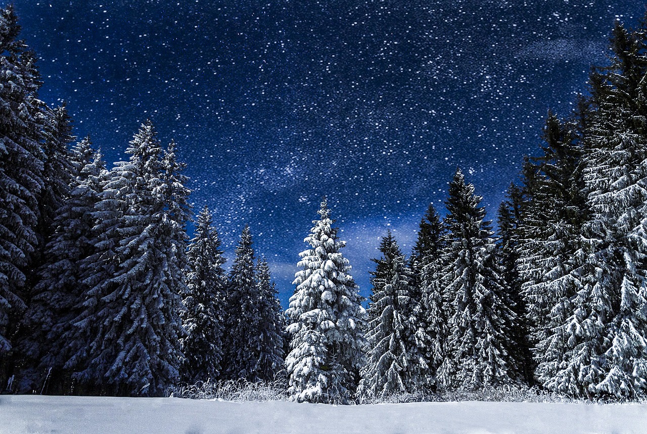 Image - snow nature night travel blue