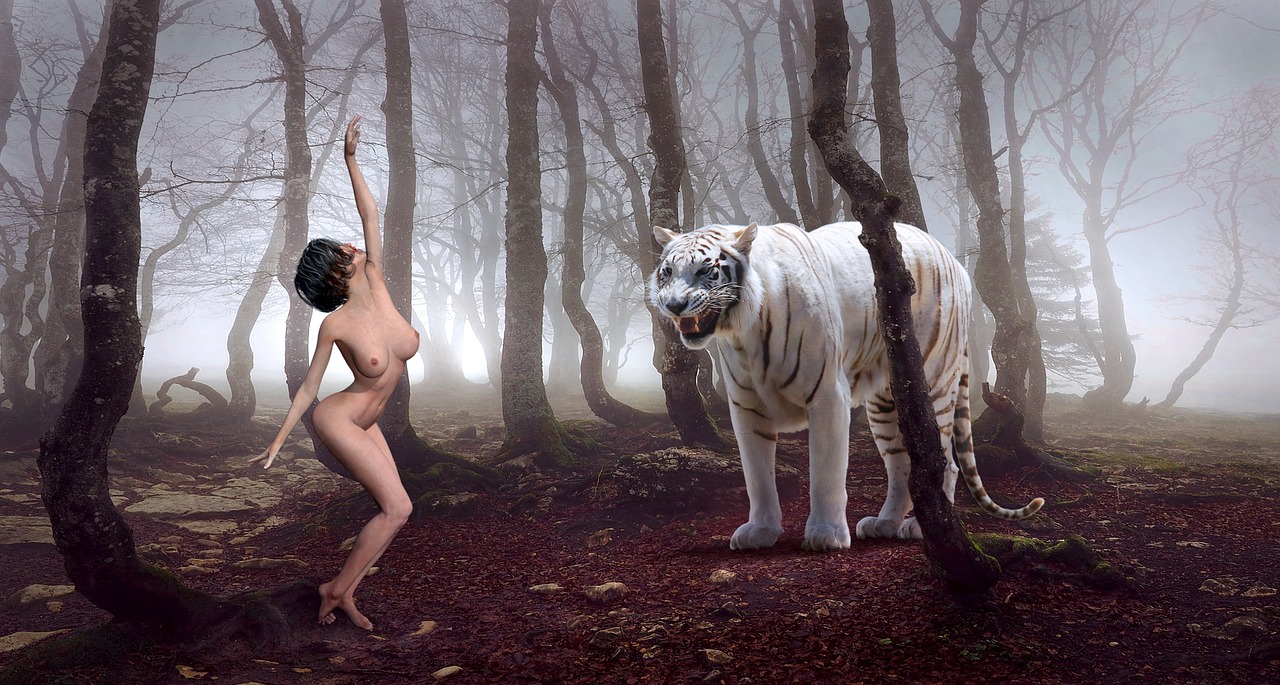 Image - forest tiger woman composing