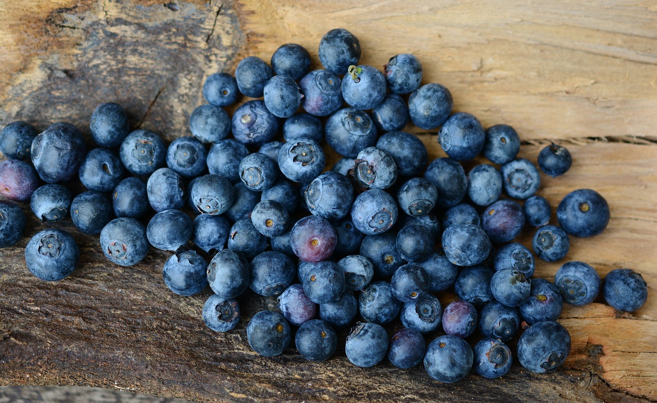 Image - blueberries berries fruit fruits