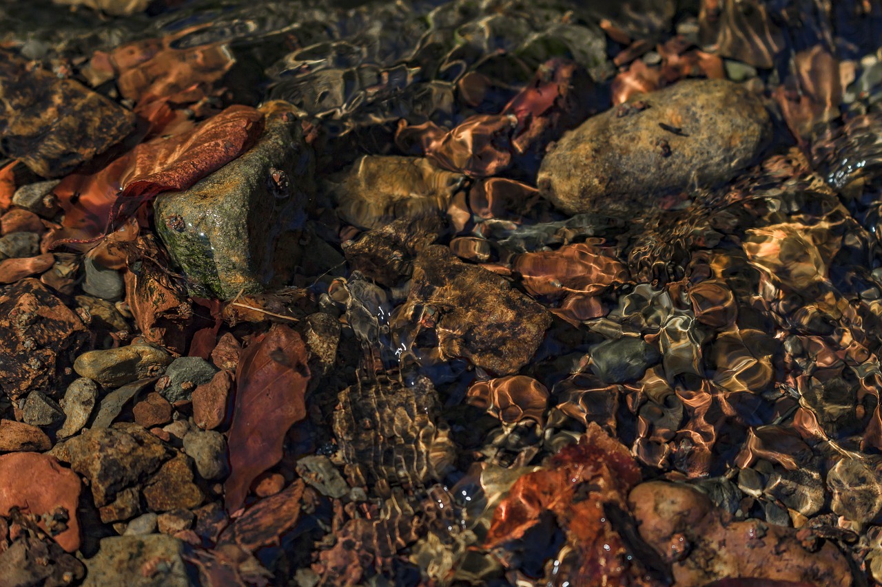 Image - water stones shiny nature close