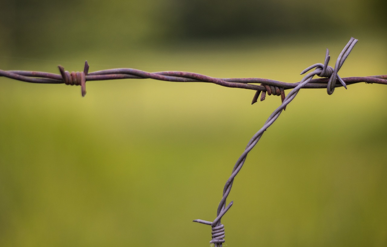 Image - barbed wire wire fence metal risk