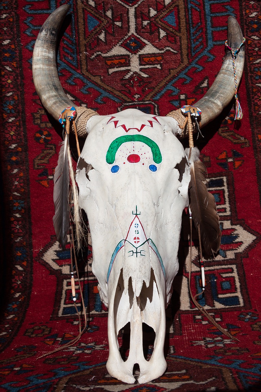 Image - skull beef painted horn bone