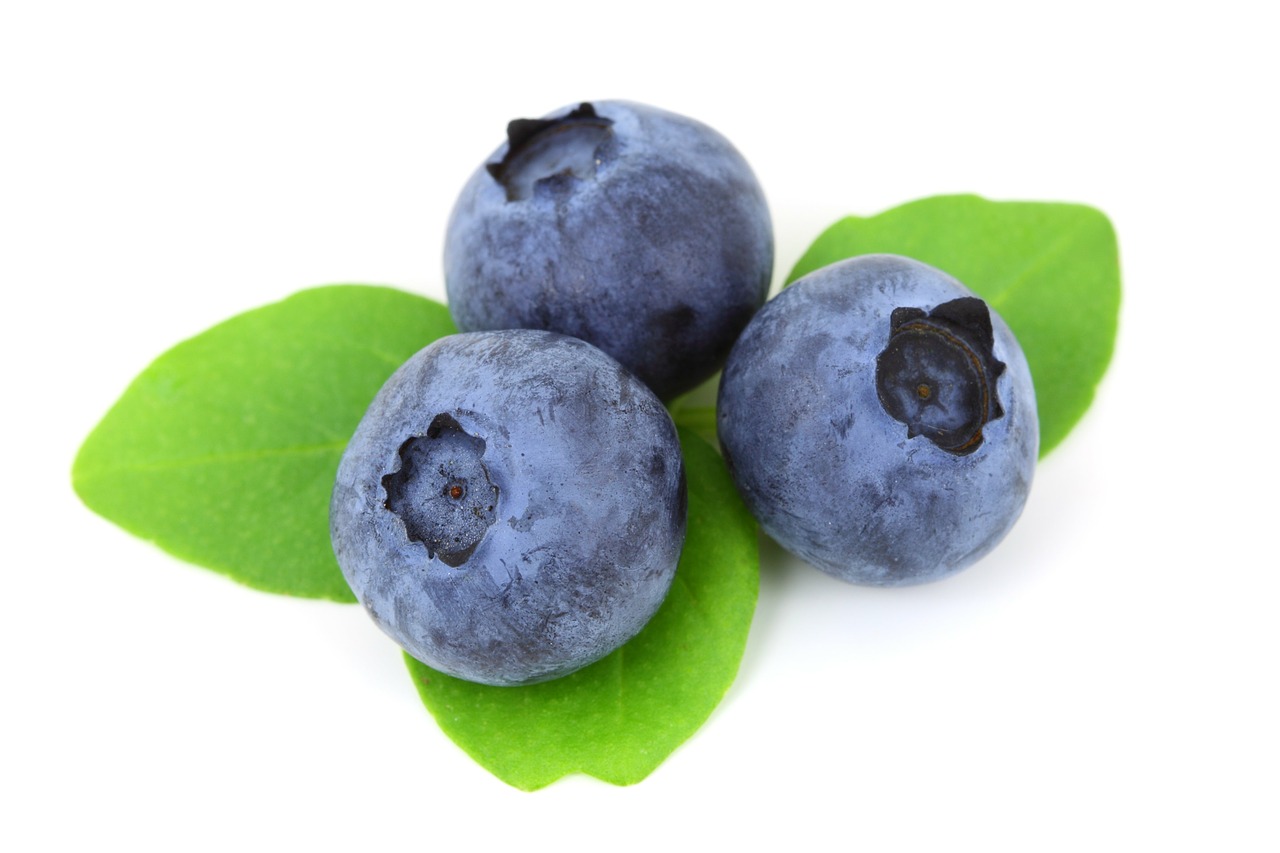 Image - berry blue blueberry food fresh