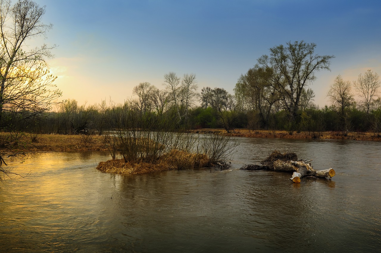 Image - spring nature river island sunset