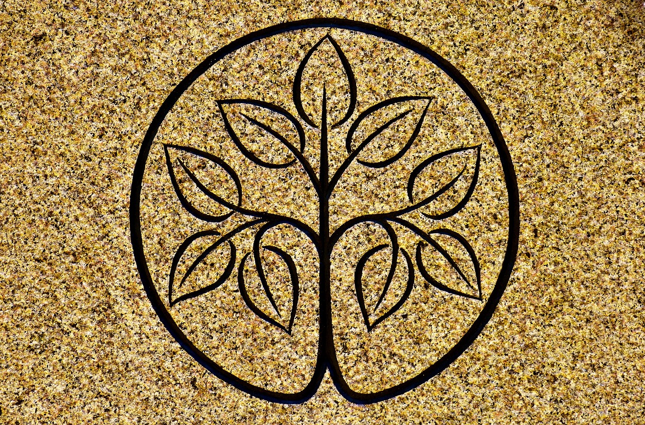 Image - tree stone wall design structure