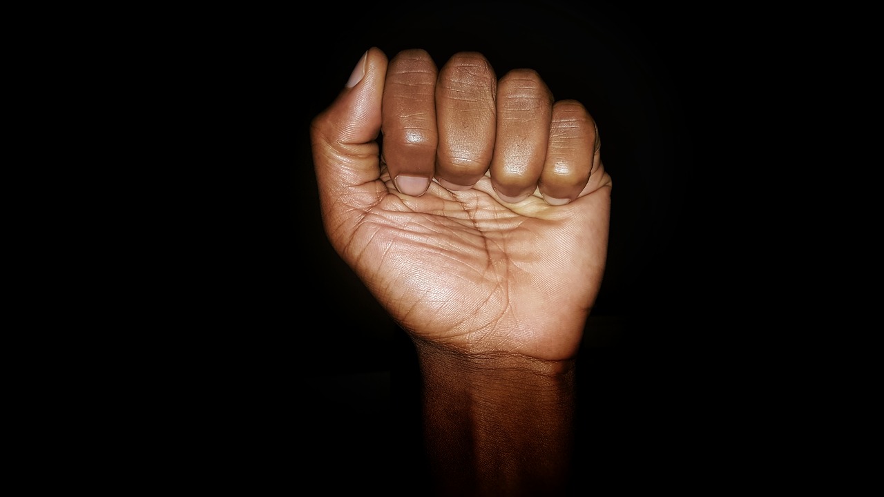 Image - black power black fist fist