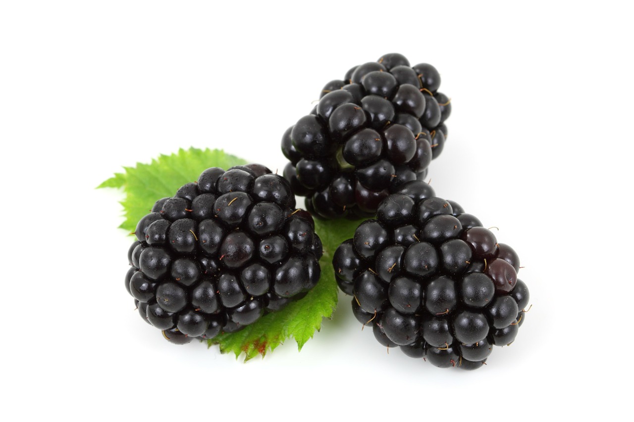 Image - berry black blackberry food fresh