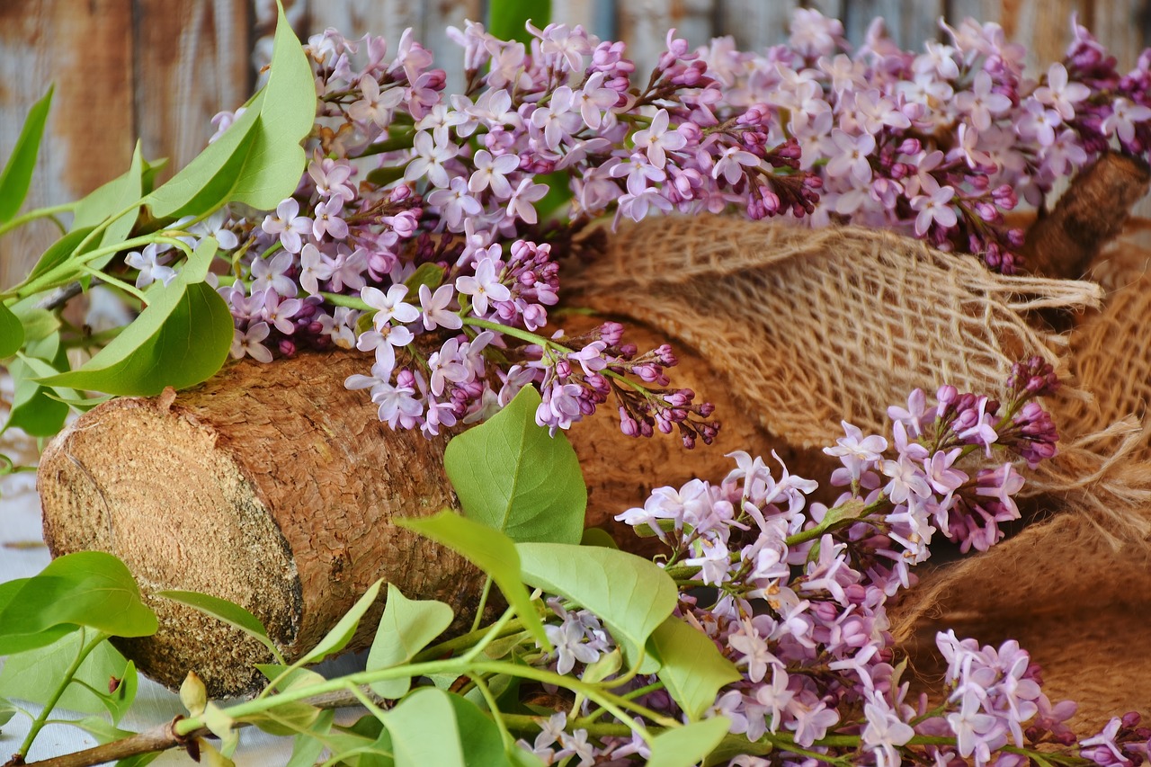 Image - lilac lilac bouquet flowers spring