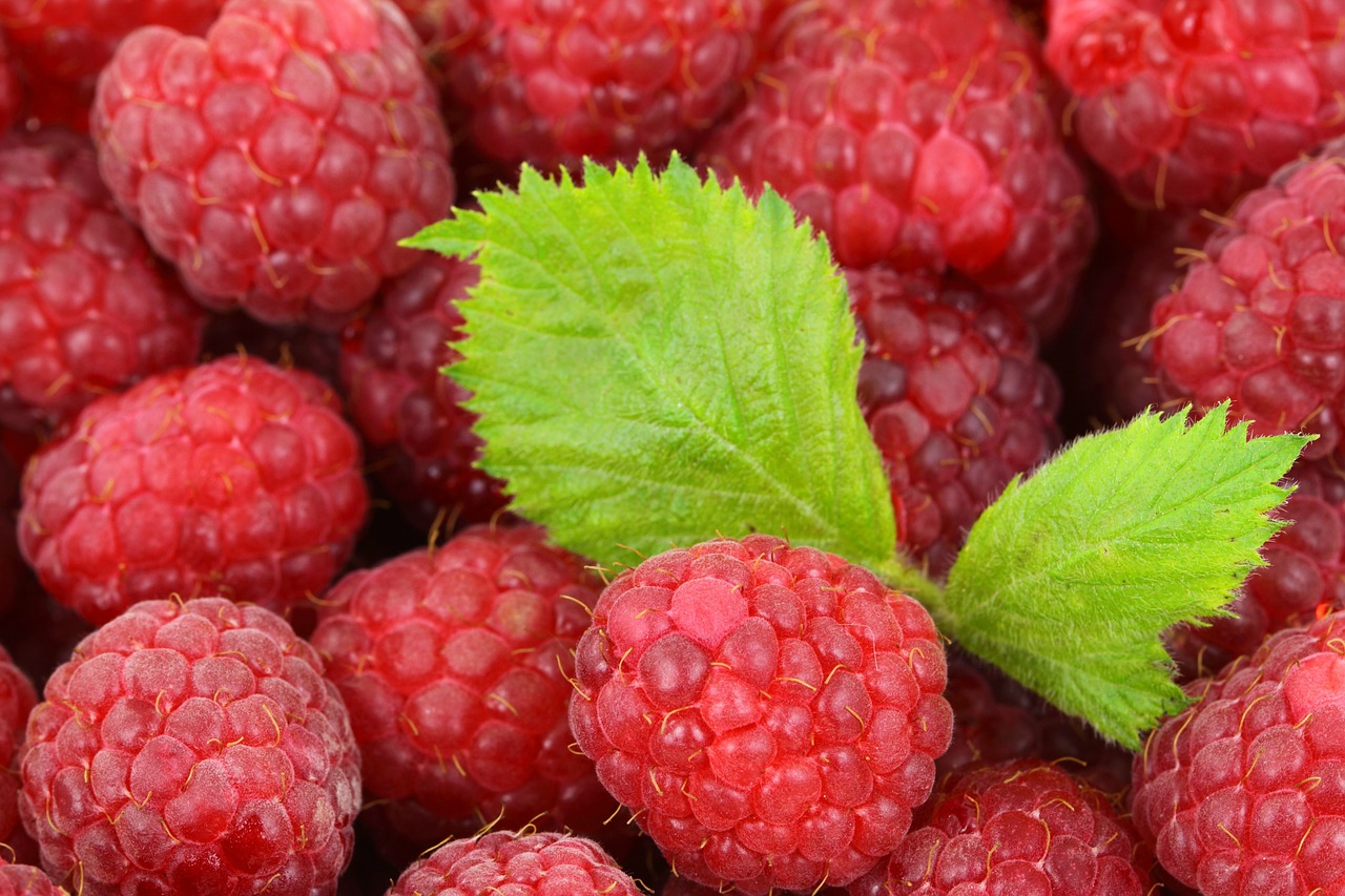 Image - background berry detail food fresh