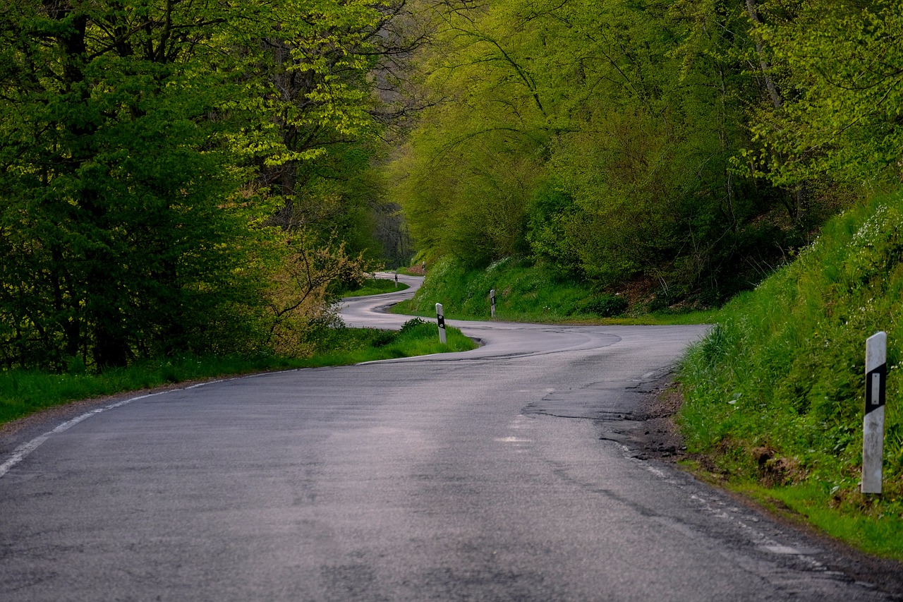 Image - road curve route curves landscape