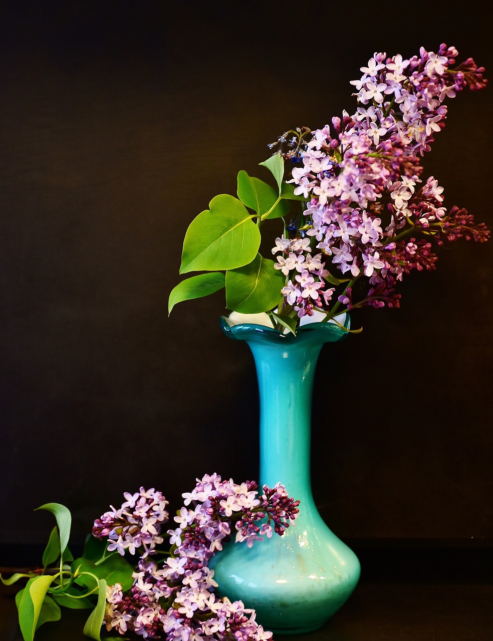 Image - lilac lilac bouquet flowers spring