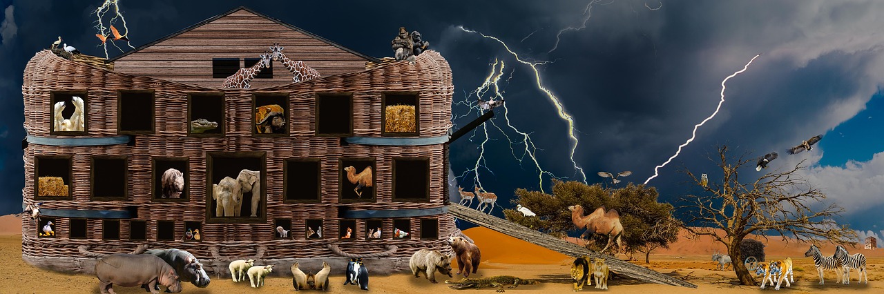 Image - religion animals noah ark