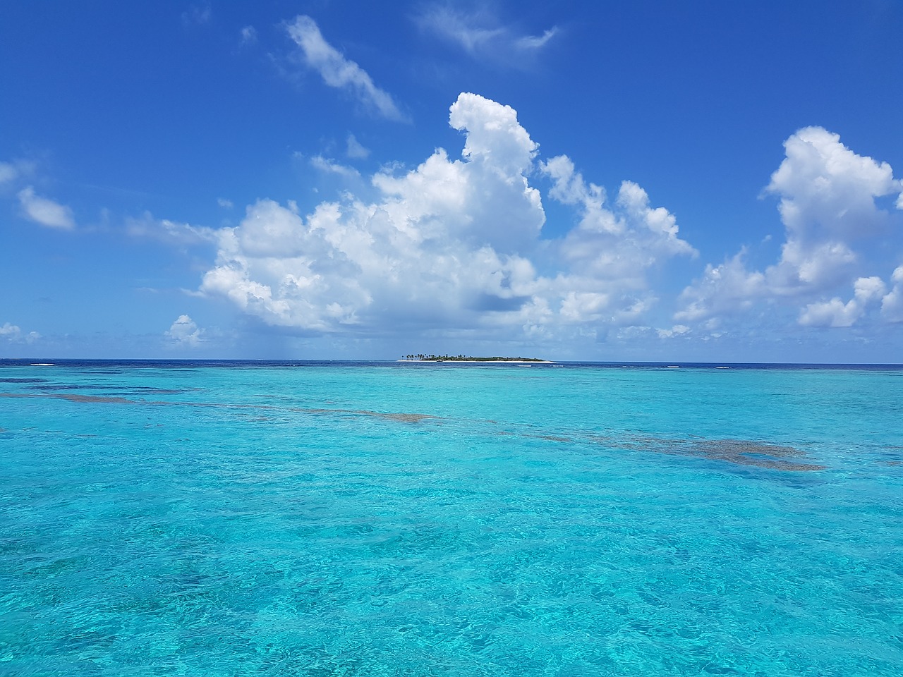 Image - tobago cays grenadines tropical