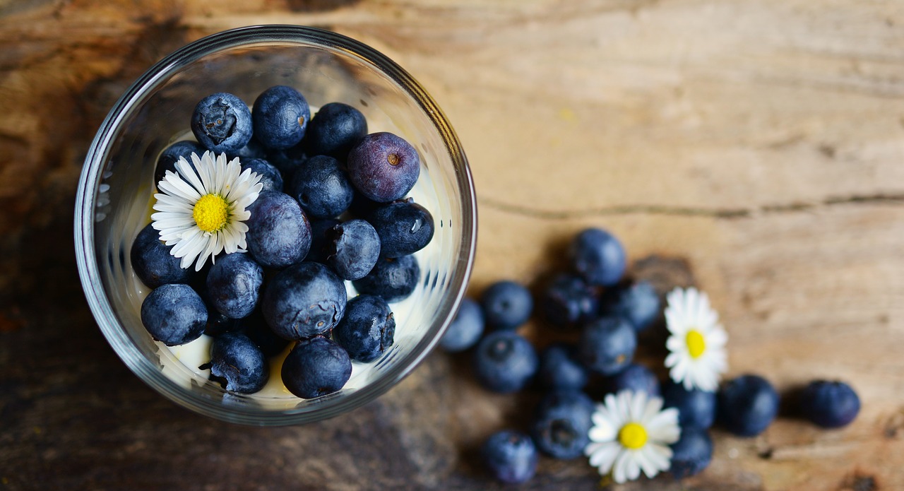 Image - blueberries dessert daisy fruit