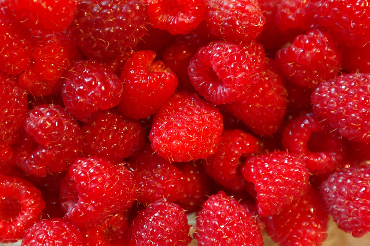 Image - raspberries fruits fruit berries