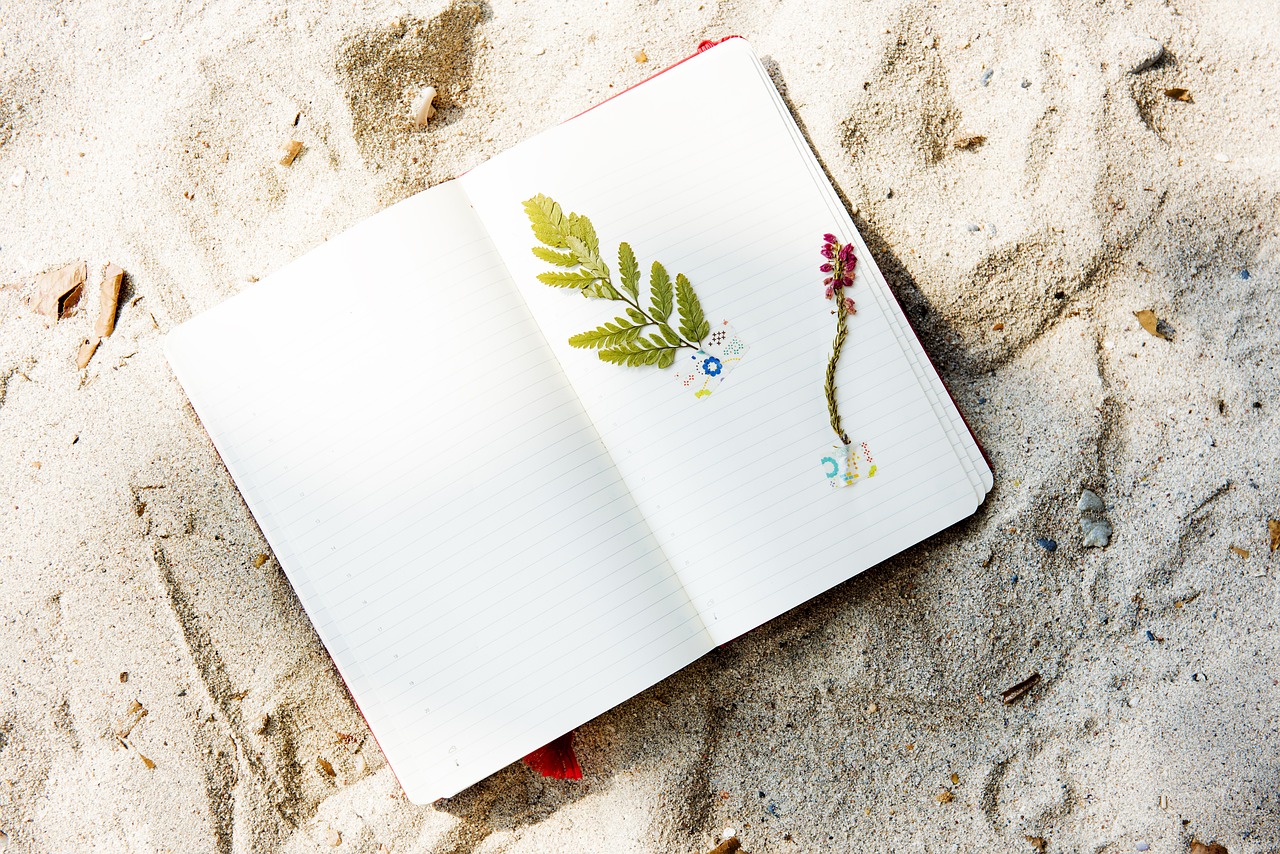 Image - beach coast craft diary flower