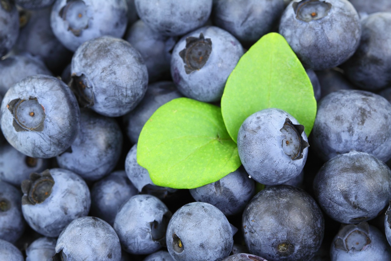 Image - background berry blue blueberry