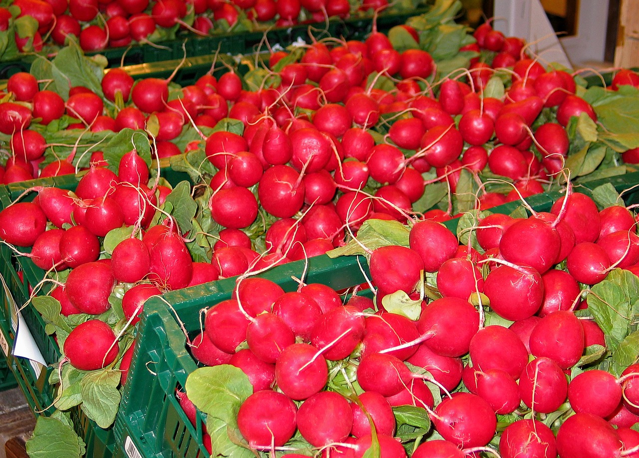 Image - radishes vegetables food eat red