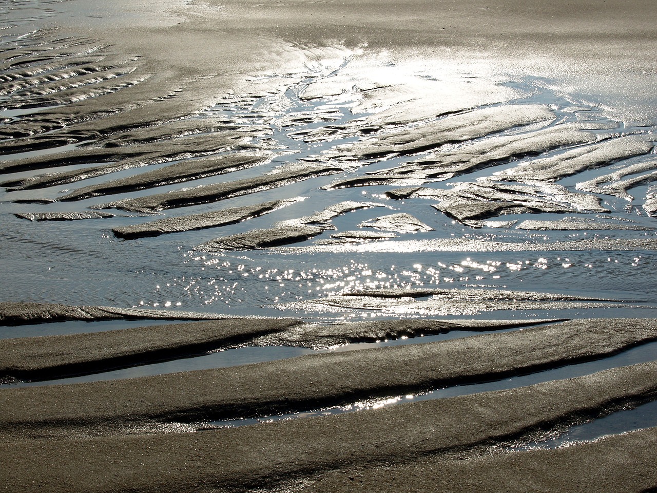 Image - beach north sea pril sea nature