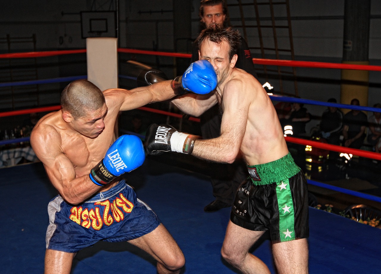 Image - boxing kickboxing muay thai combat