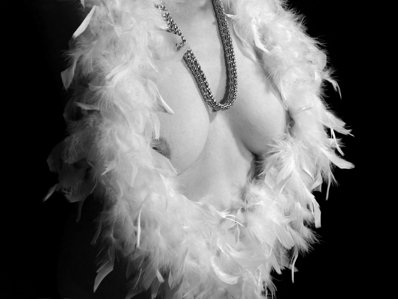 Image - burlesque feather boa breasts act