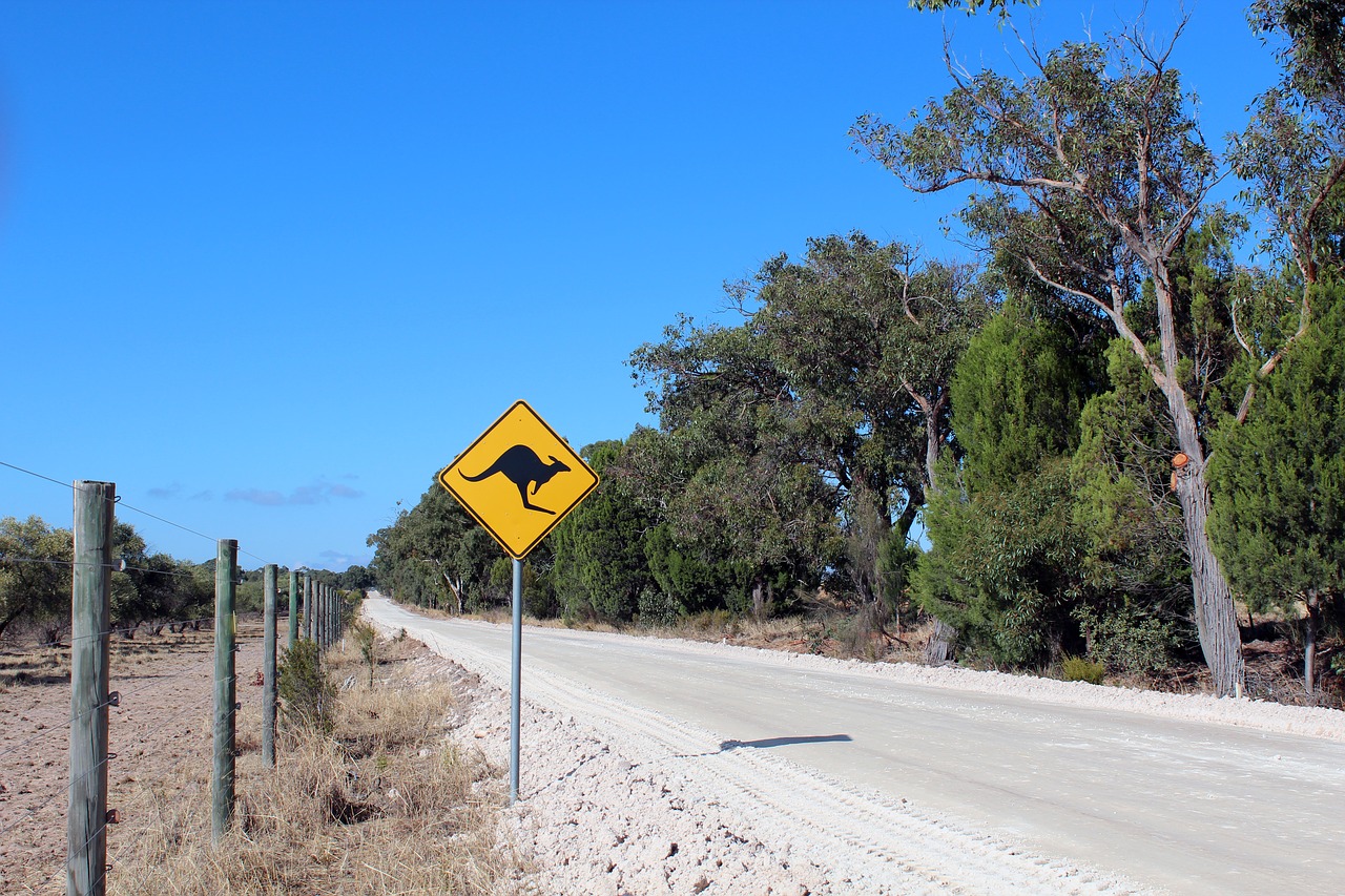 Image - australia kangaroo road shield