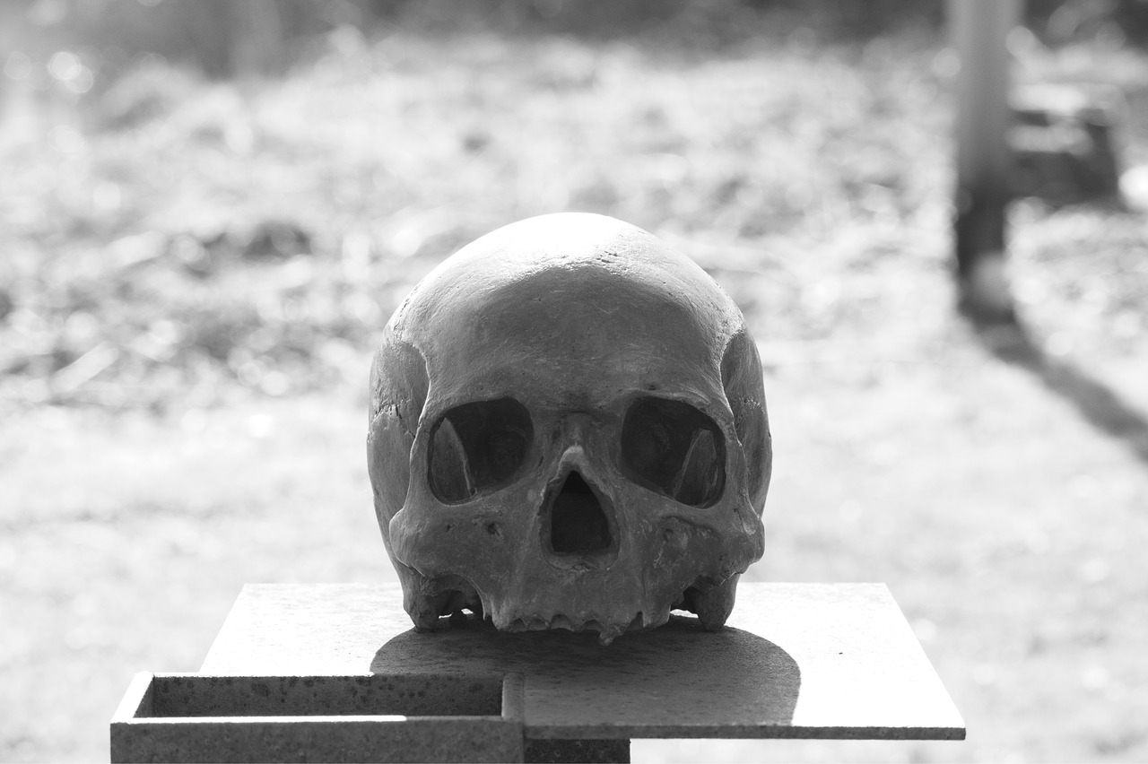 Image - skull head skull and crossbones