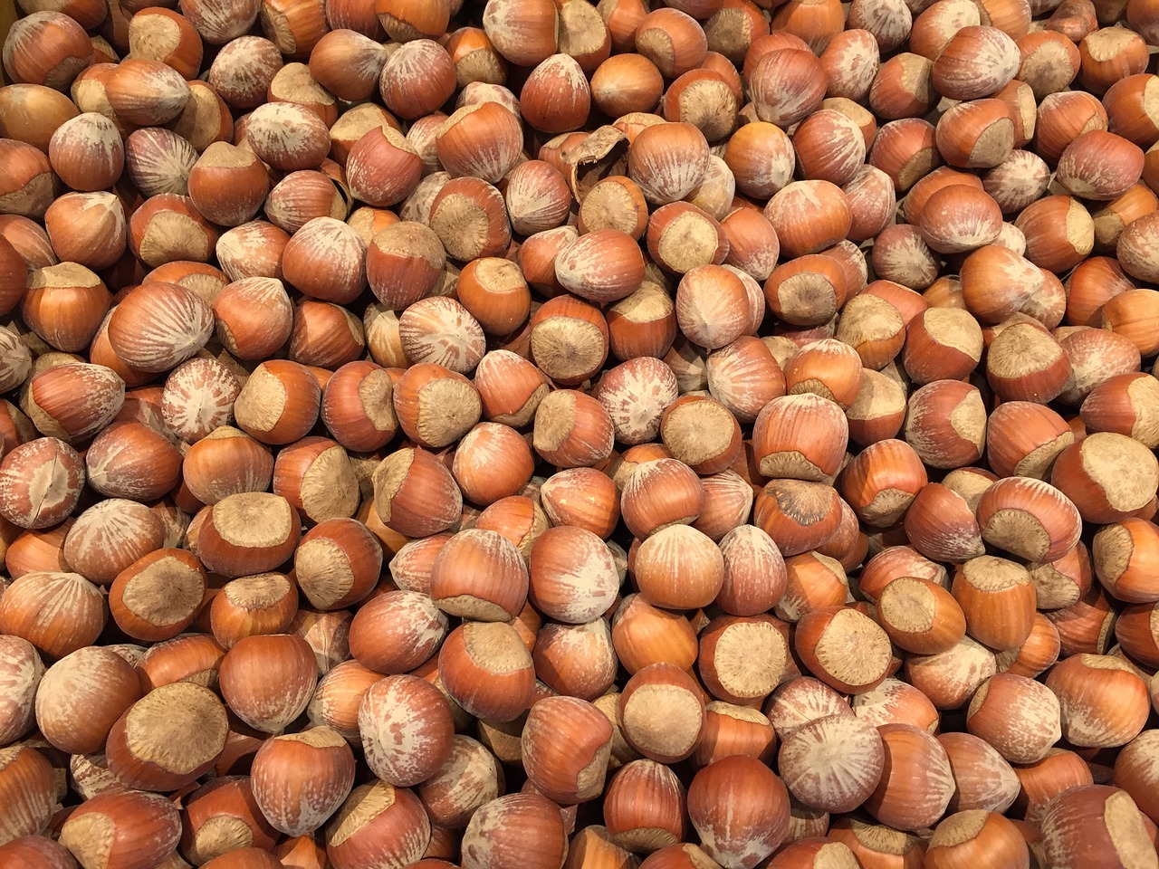 Image - hazelnut nuts food healthy