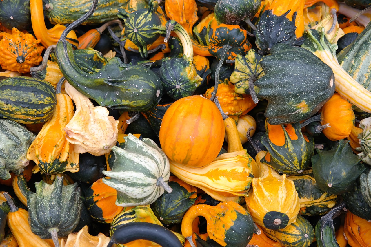 Image - pumpkins decorative squashes green