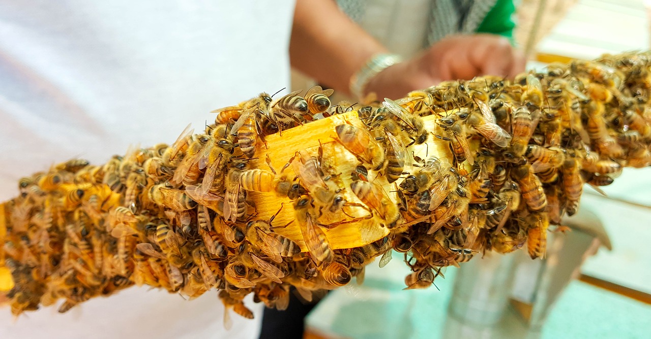 Image - bee bees honey honeybees wax hive