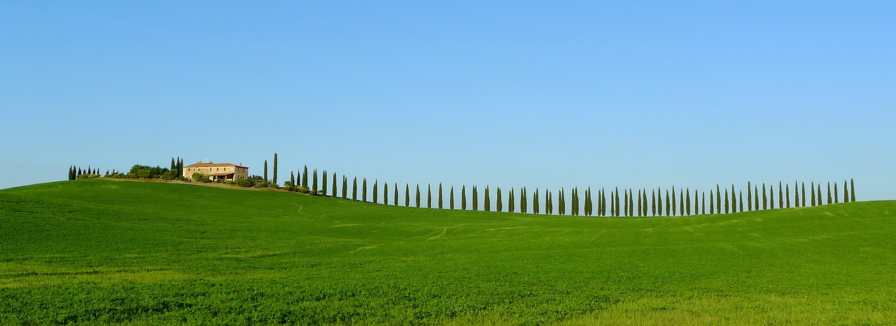 Image - toscana cypresses farmhouse scenic