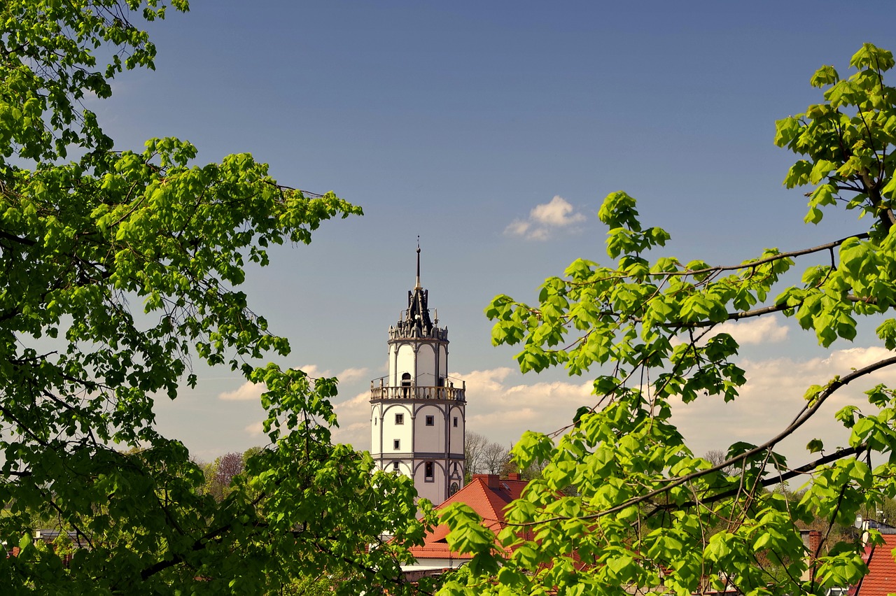 Image - the town hall tower tree city park