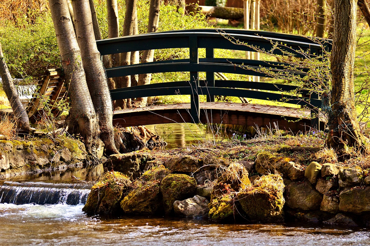 Image - bridge bach water nature