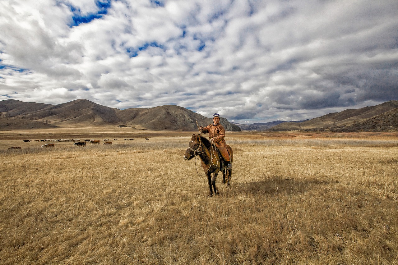 Image - late autumn meadow nomad horse