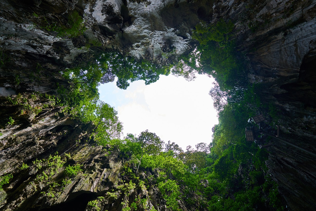 Image - cave nature tree asian malaysia