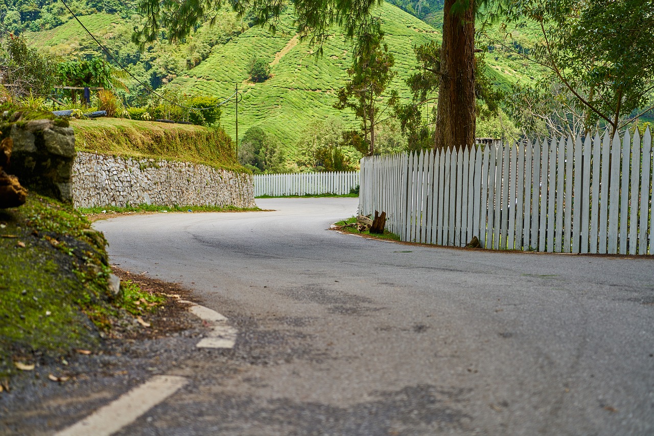 Image - road fence asphalt nature rural