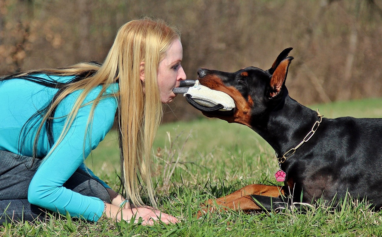 Image - doberman dog game blonde woman