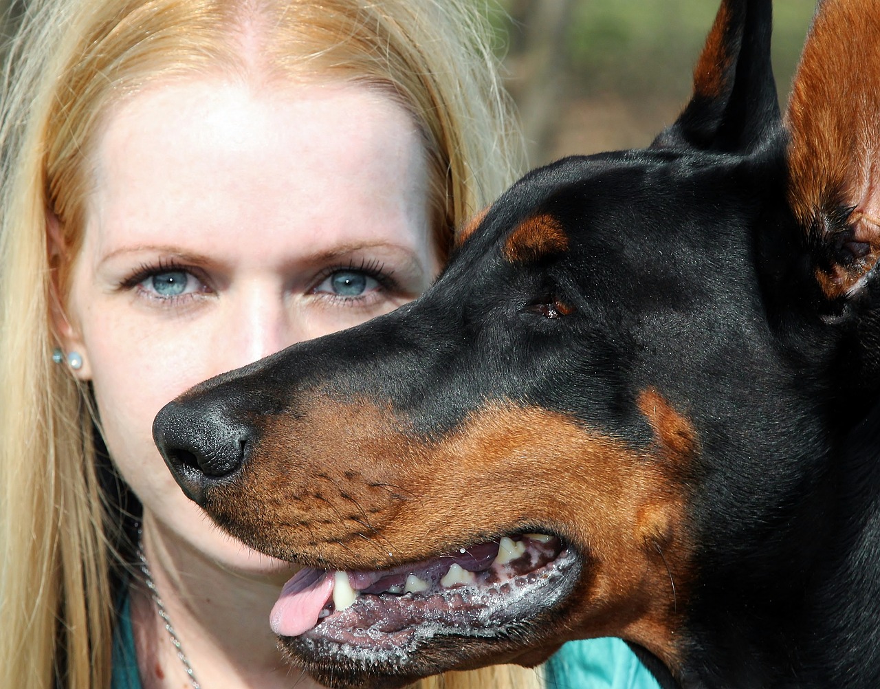 Image - doberman dog blonde woman portrait