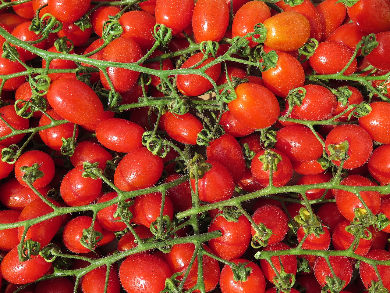 Image - tomatoes cherry tomatoes bio red