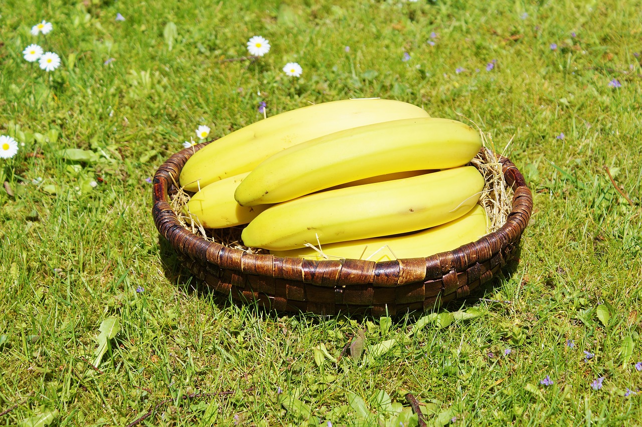 Image - bananas fruits fruit food yellow