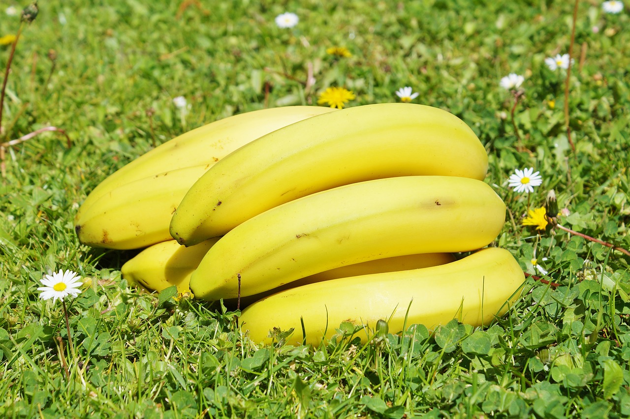 Image - bananas fruits fruit food yellow
