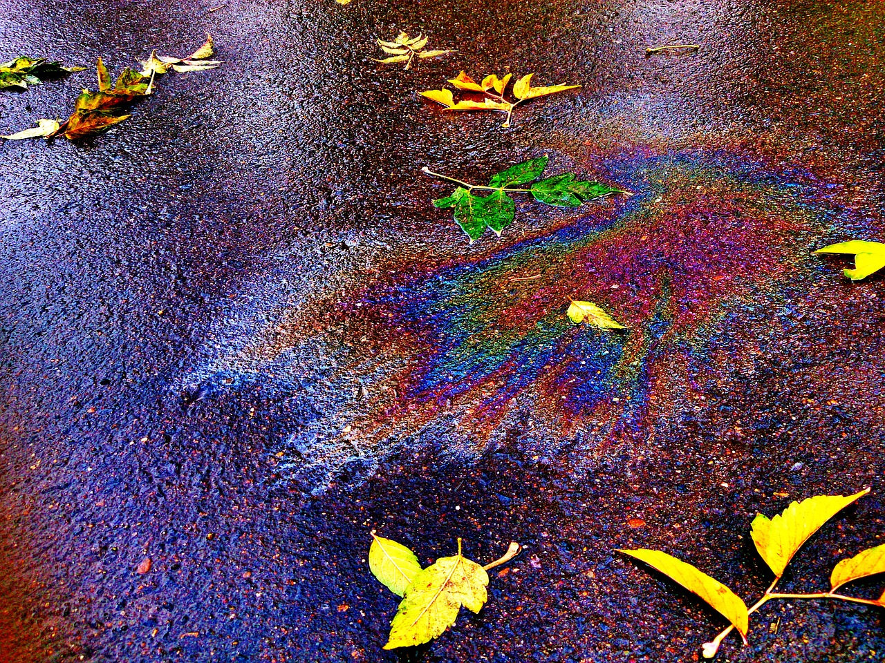 Image - autumn leaves fall colors gasoline