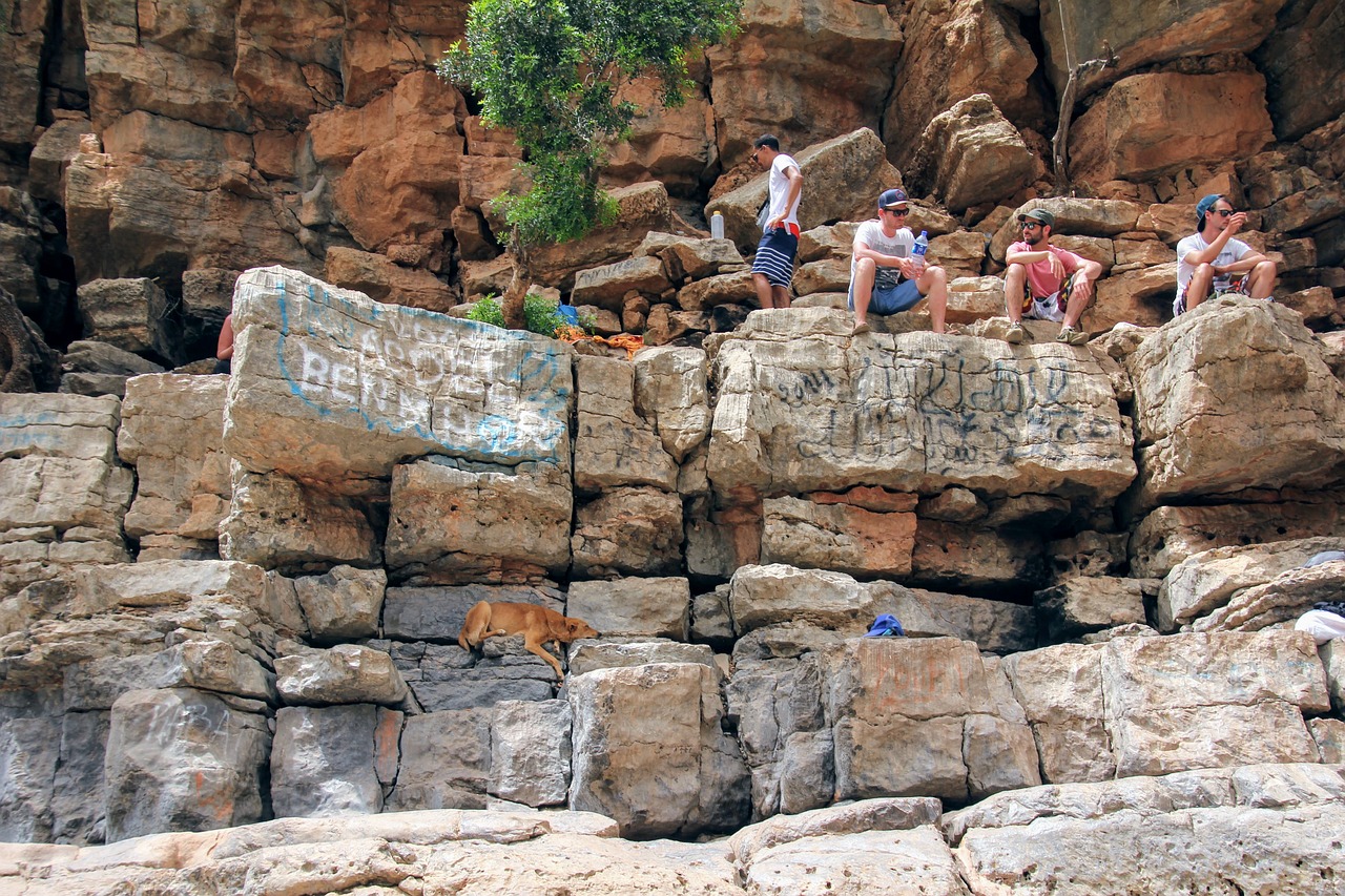 Image - rock dog relax sit more outdoor