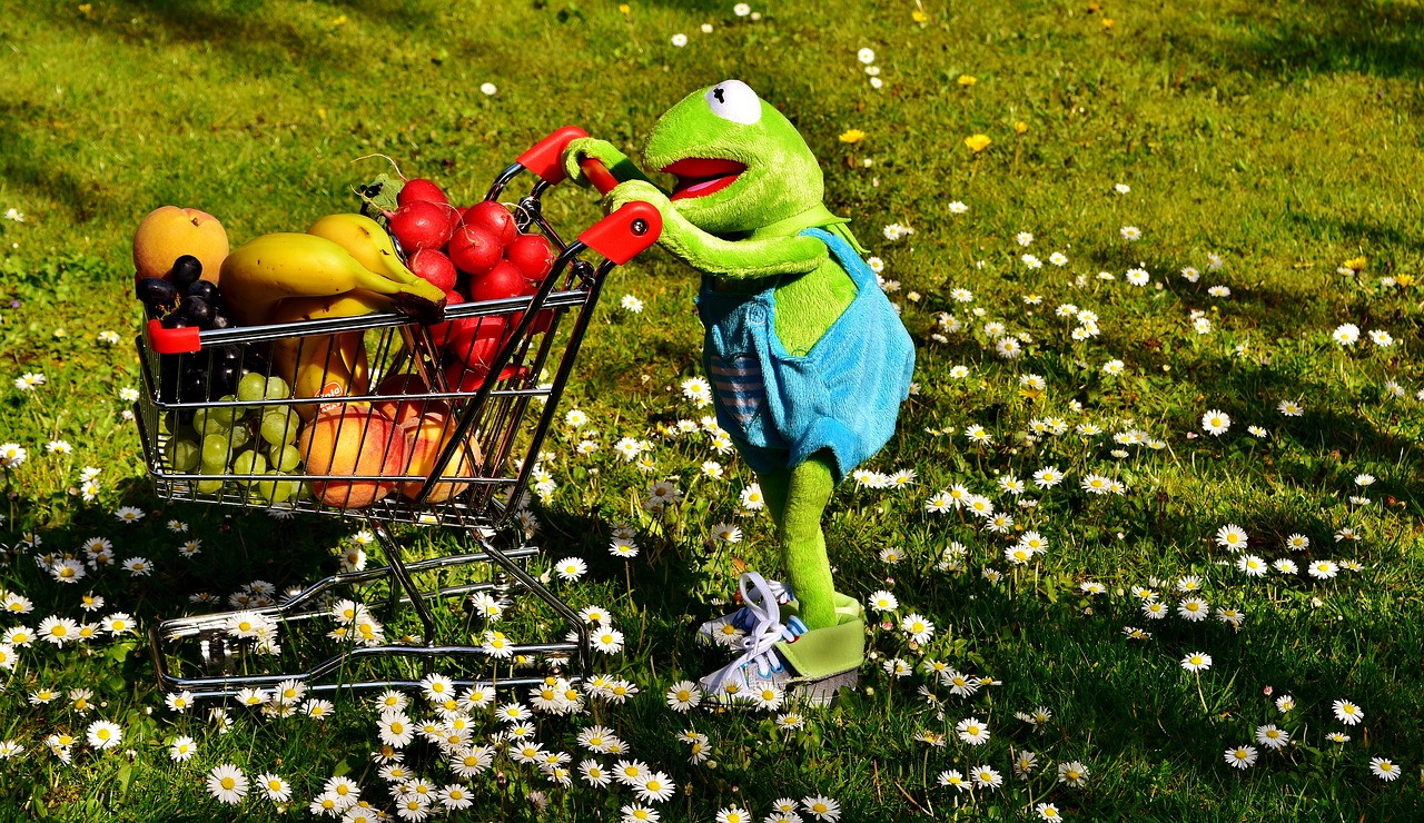 Image - kermit shopping cart